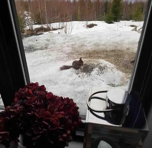 Feriehus Annex Fjara Greater Oslos View Sleeps 10 Guests In 3 Bedrooms *